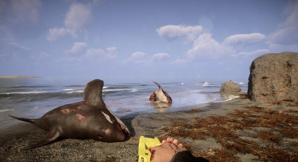 森林之子Sons Of The Forest中文版