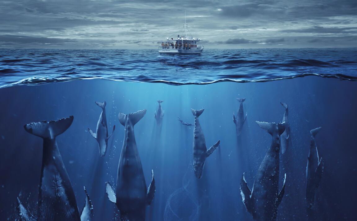 种群2023美剧百度云网盘下载观看