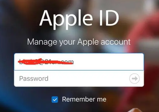 一个手机号可以绑几个苹果id?
