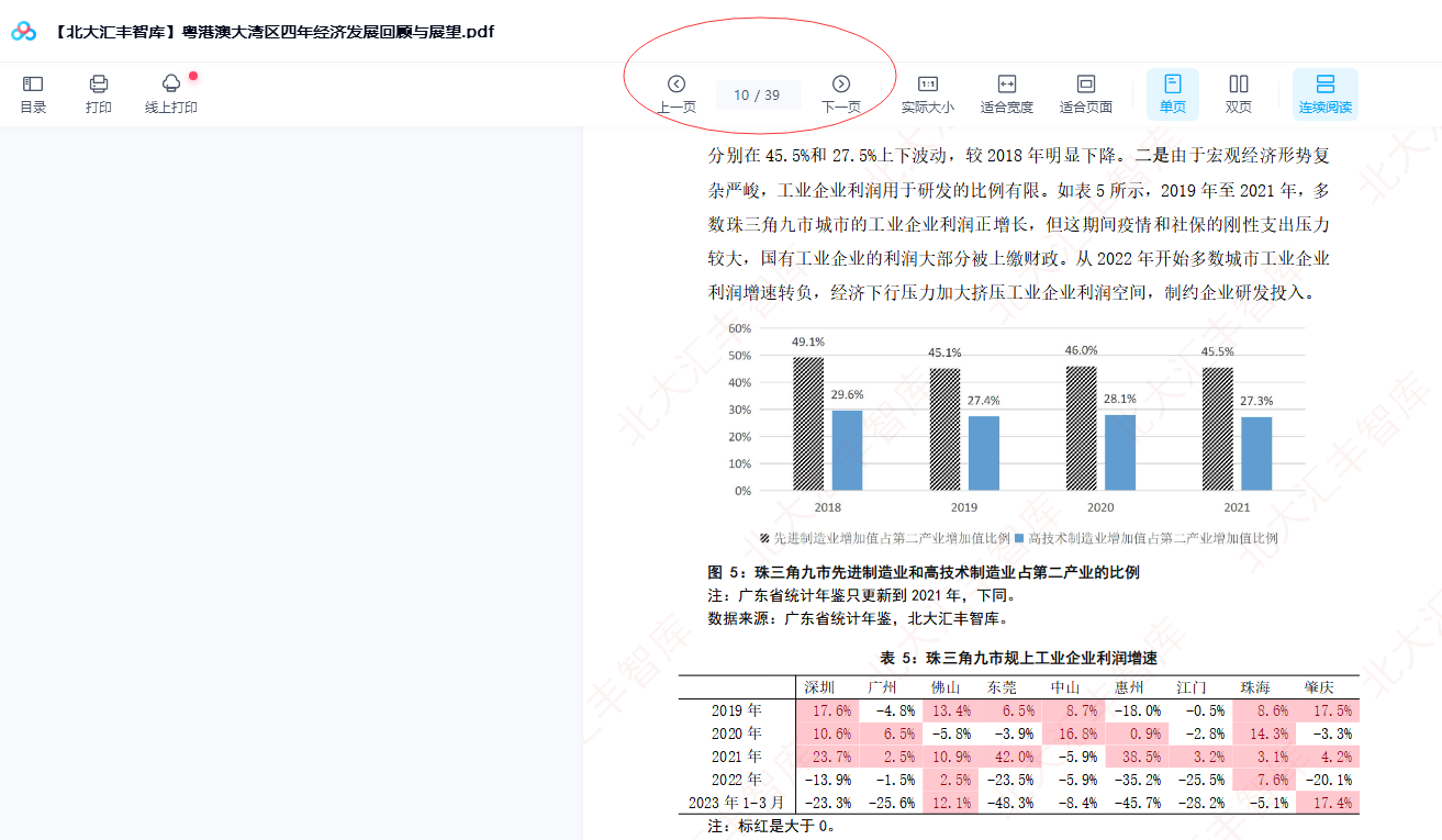 粤港澳大湾区四年经济发展回顾与展望.pdf 39页下载