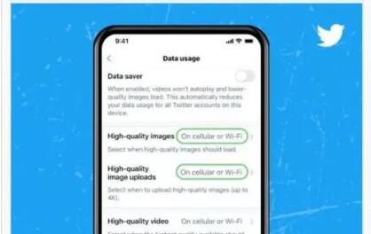 推特app下载完怎么注册不了账号?