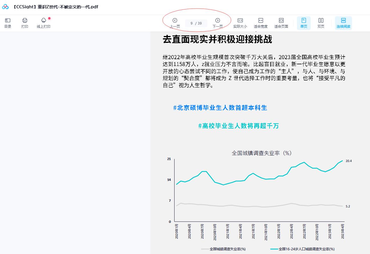 重识Z世代-不被定义的一代.pdf