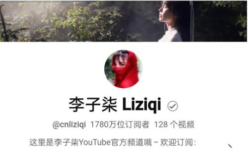 李子柒油管一年能赚多少钱(youtube广告收益）