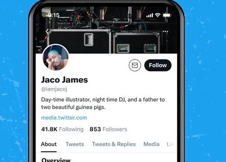 推特怎么看敏感内容(超简单)