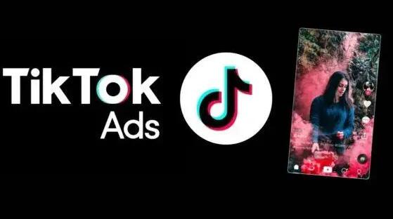 tiktok账号密码免费大全2024