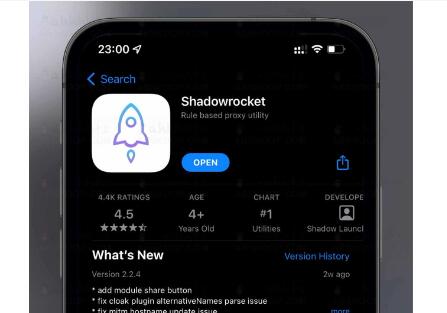 小火箭多少钱一个月？