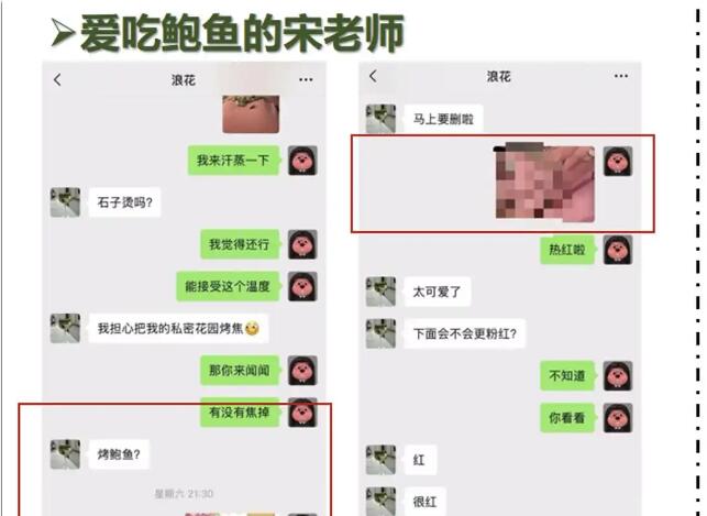 南师大副院长出轨女博士生事件真相始末14页ppt下载