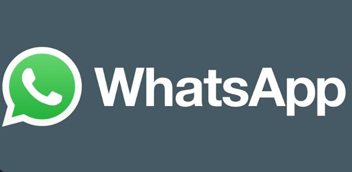 whatsapp账号购买链接(在线出售)